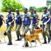 Cidadãos auguram melhorias técnicas para Polícia Nacional no Soyo