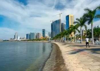 Tem razão o Aristóteles, Palancas são animais políticos