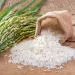 Mais de mil produtores envolvidos na cultura do arroz em Angola