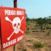 Mina anti-tanque mata cinco pessoas no Cunhinga