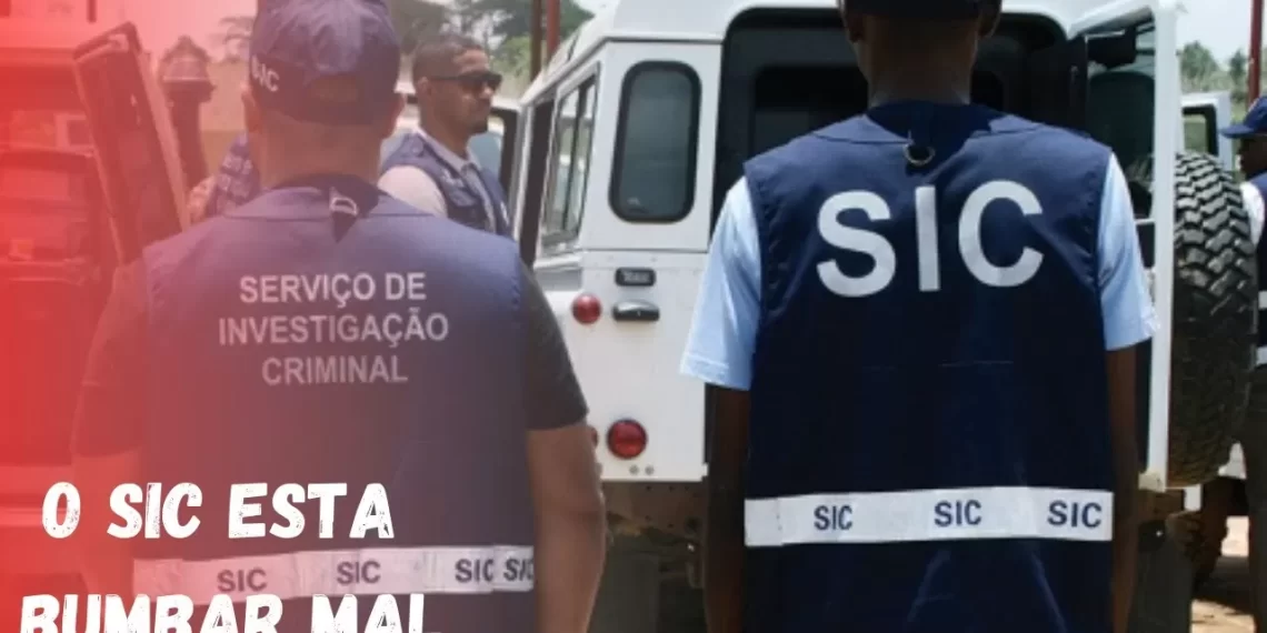 SIC resgata cidadãs que estavam a ser exploradas sexualmente