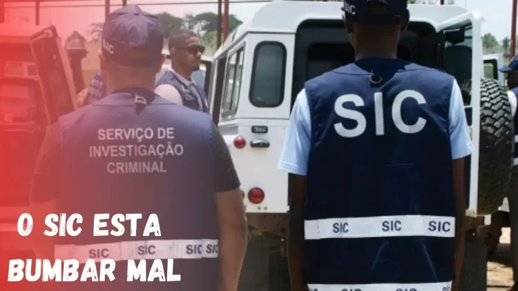 SIC resgata cidadãs que estavam a ser exploradas sexualmente