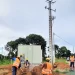 PIIM proporciona energia eléctrica para 570 residências em Menongue