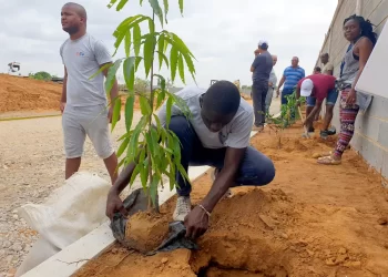 Mil e 500 árvores plantadas no Icolo e Bengo