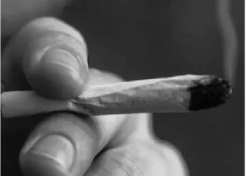 Carta do leitor: Adolescentes no mundo da perdição