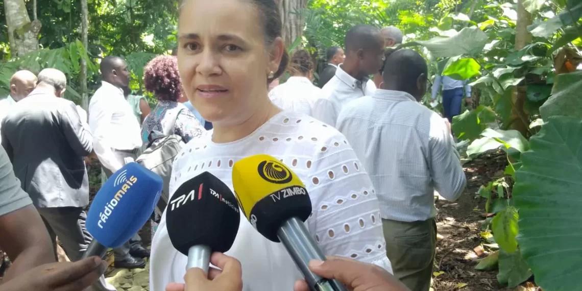 Primeira-dama de São Tomé satisfeita com a ligação aérea com Angola pela Flay