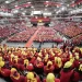 MPLA pede aos metodistas para continuarem guardiões da paz