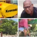 A história de um citadino que decidiu arborizar Luanda com custo próprio