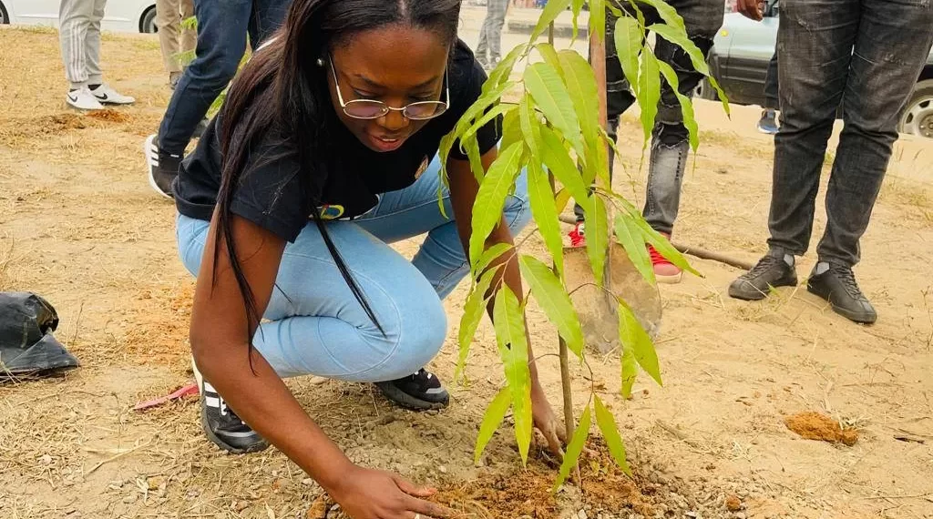 Campanha de arborização no Icolo e Bengo conta com mil e quinhentas novas  árvores plantadas