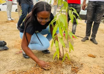 Campanha de arborização no Icolo e Bengo conta com mil e quinhentas novas  árvores plantadas