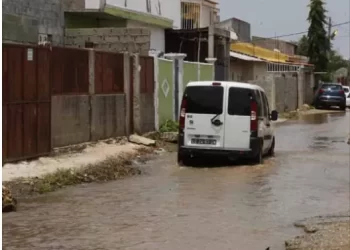 Carta do leitor: GPL esqueceu o Golfe
