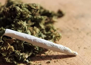Polícia  apreende 100 quilogramas de liamba no Uíge