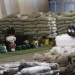 Governo cria condições para potenciar fabrico de materiais de construção