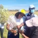 Perto de 4 mil eucaliptos serão plantados no troço Cuito/Chinguar