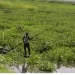 Pescadores e peixeiras de Mazozo com rendimentos reduzidos