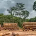 Crimes de foro ambiental  preocupam PGR na Huíla