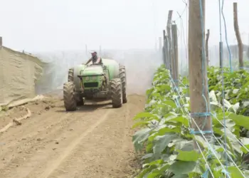 Investimento no  Agro-negócio vai a debate hoje