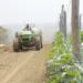 Investimento no Agro-negócio vai a debate hoje