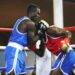 Pugilista angolano nas meias-finais da Taça Nelson Mandela