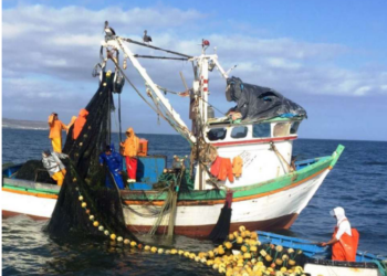 Pescadores angolanos presos no Gabão foram libertados e já se encontram em Cabinda