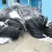 Polícia  apreende  duas  toneladas  de cabos  eléctricos  na Huíla