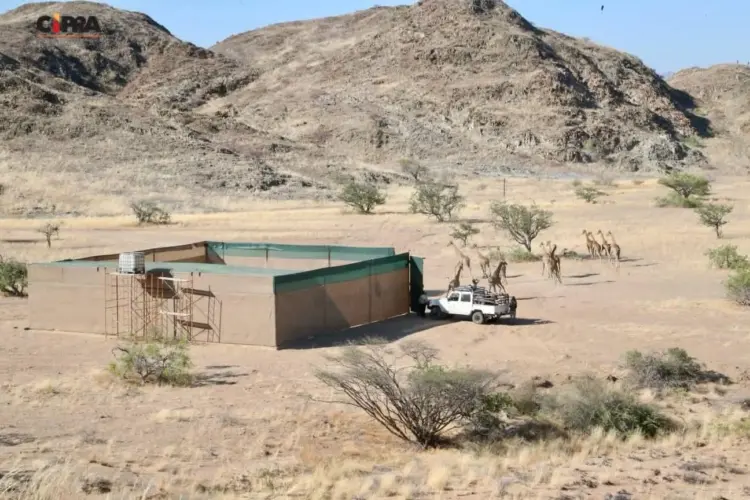Parque do Iona arrecada cerca de 37 mil dólares por ano