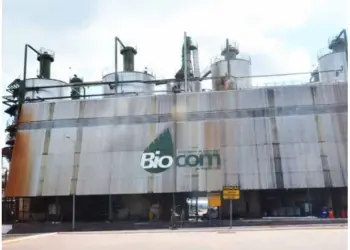 Biocom pretende aumentar  a produção de açúcar  e etanol em 2024