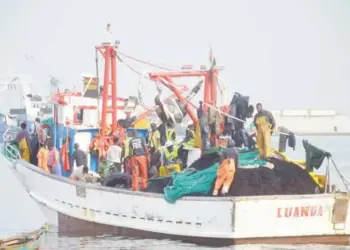 Pesca por arrasto afunda recursos  e deixa Governo sob alerta