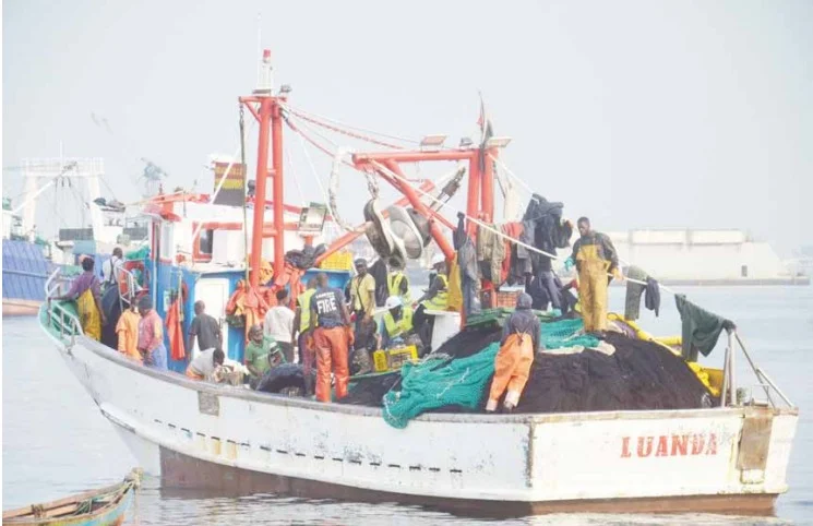 Pesca por arrasto afunda recursos e deixa Governo sob alerta