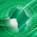 Reflectindo sobre o 25 de Maio: que África  temos, que África pretendemos construir?