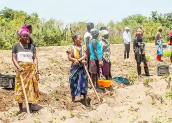 Mais de mil camponeses formados em matéria de segurança alimentar