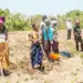 Mais de mil camponeses formados em matéria de segurança alimentar