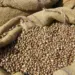 Camponeses querem envolvimento da Carrinho Agri para evitar saída de feijão de Angola