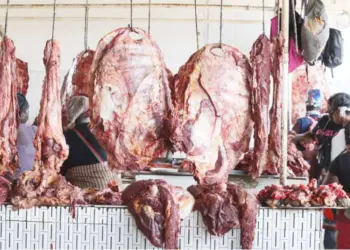 “Carne nacional vai subir com o aumento do preço do gasóleo”, alertam criadores de gado
