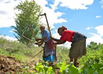 FADA recebe mais de 100 pedidos de crédito durante a FIB