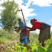 FADA recebe mais de 100 pedidos de crédito durante a FIB