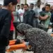 Gaza diz que sistema de saúde de Gaza  está a poucas horas do colapso