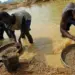 Detidos três cidadãos por  exploração ilegal de minerais
