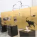 Destacada a importância dos museus no processo de educação