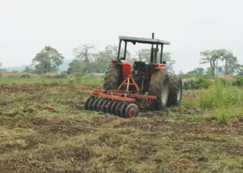 Crescimento tímido da agricultura desafia a segurança alimentar