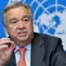 Guterres pede restauro de ecossistemas e combate  à desflorestação no Dia Mundial do Ambiente