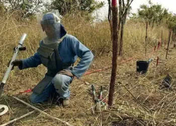 Cabinda precisa de mais de 23  milhões de dólares para concluir  com a desminagem