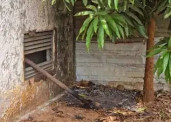 Jovem morre electrocutado ao vandalizar PT em Viana