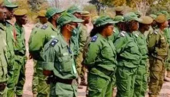 Polícia recupera sete crianças raptadas  por uma suposta missionária