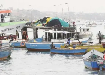Ministra das Pescas diz  que economia azul pode  estimular o crescimento do país