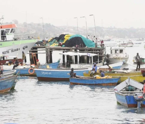 Ministra das Pescas diz que economia azul pode estimular o crescimento do país