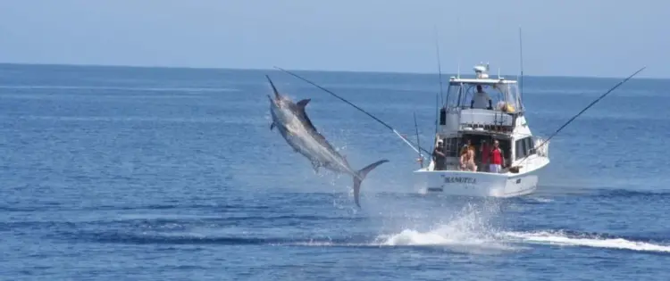 Fishi On conquista torneio internacional de pesca desportiva no Dirico