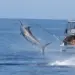 Fishi On conquista torneio internacional de pesca desportiva no Dirico