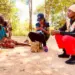 Mais de 40 mil famílias cadastradas em Caluquembe no âmbito do Kwenda