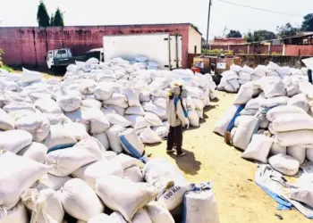 Mais de 15 mil toneladas de arroz colhidas na presente campanha agrícola da Carrinho Agri no Luquembo